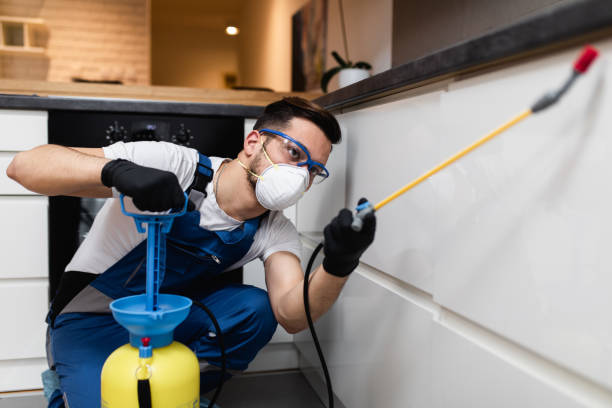 Best Pest Inspection Near Me  in Shelby, MI