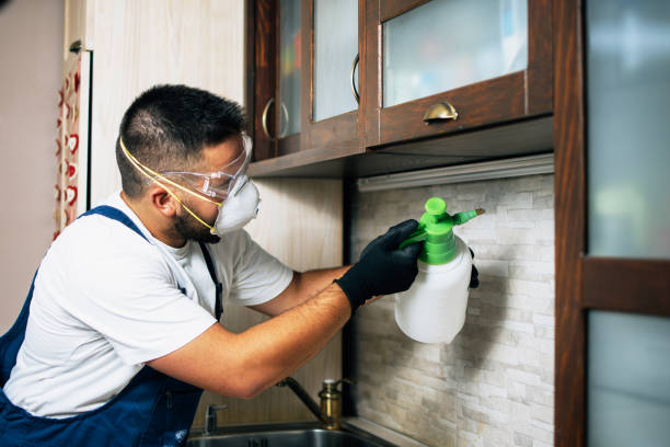 Best Pest Control Near Me  in Shelby, MI
