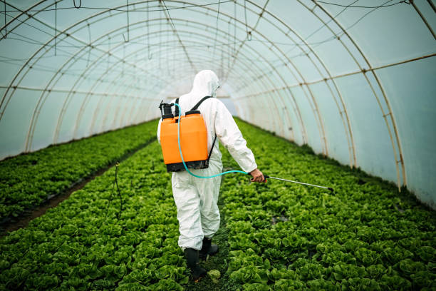 Reliable Shelby, MI Pest Control Solutions