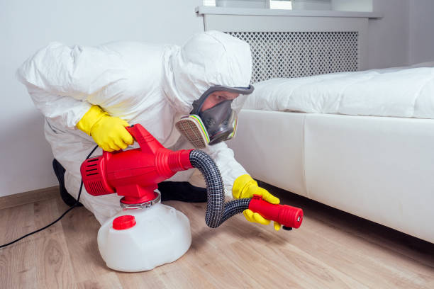 Best Pest Control Near Me  in Shelby, MI