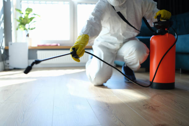 Best Insect Control  in Shelby, MI