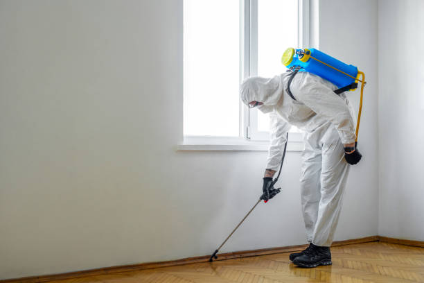 Best Best Pest Control Companies  in Shelby, MI