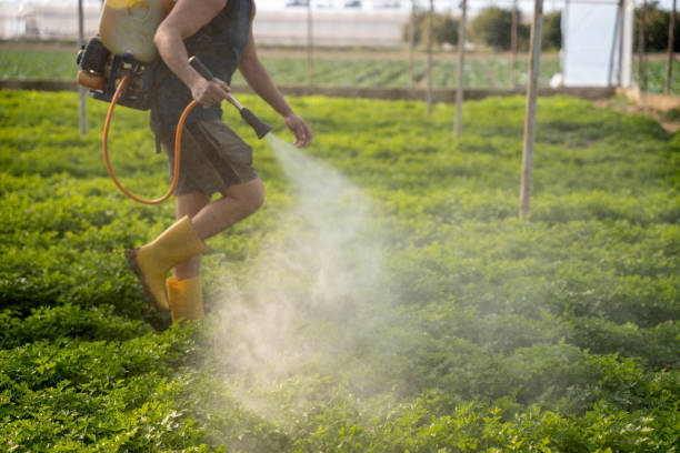 Best Affordable Pest Control Services  in Shelby, MI