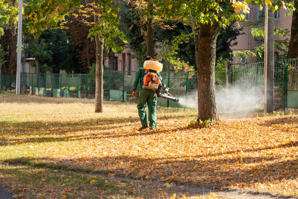 Best Affordable Pest Control Services  in Shelby, MI