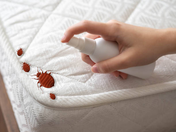 Best Insect Control  in Shelby, MI