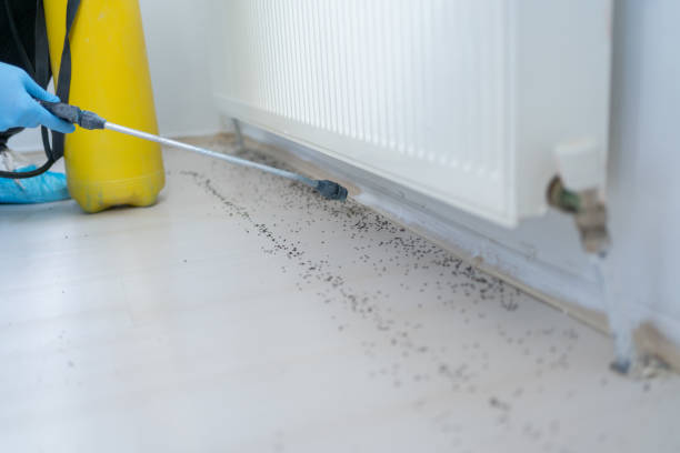 Best Exterminator Services  in Shelby, MI