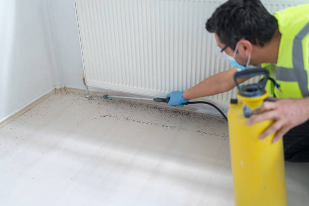 Best Mosquito Control Services  in Shelby, MI
