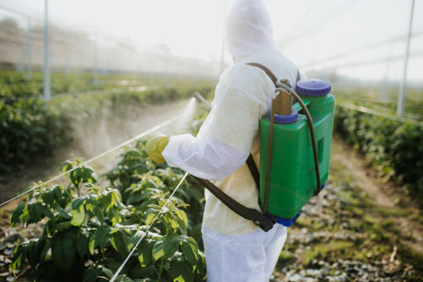 Best Wildlife Control Services  in Shelby, MI